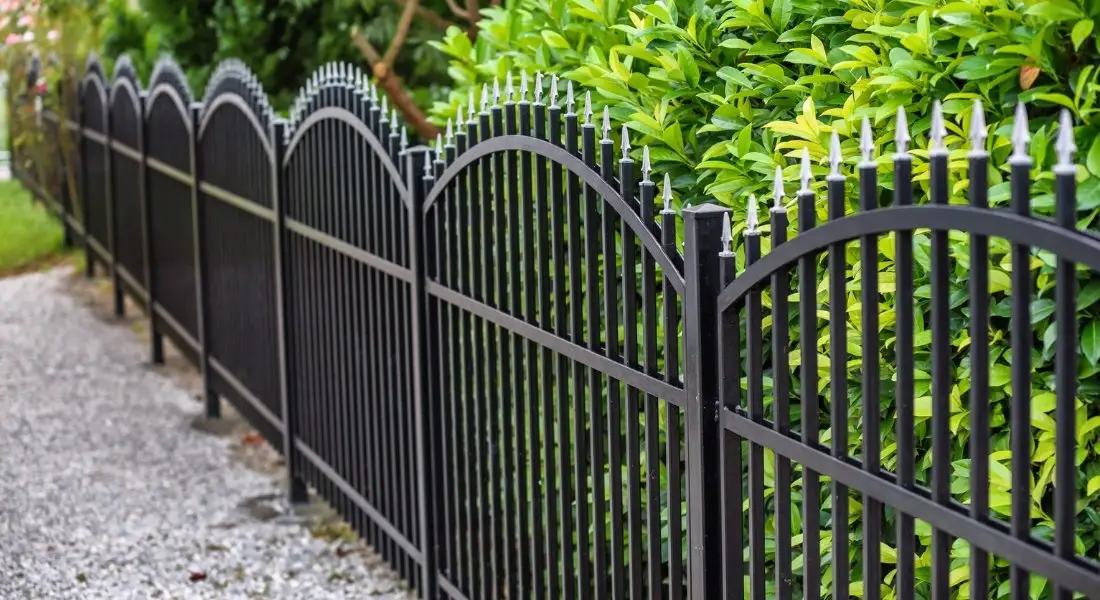black metal fence with arched spear top design next to greenery