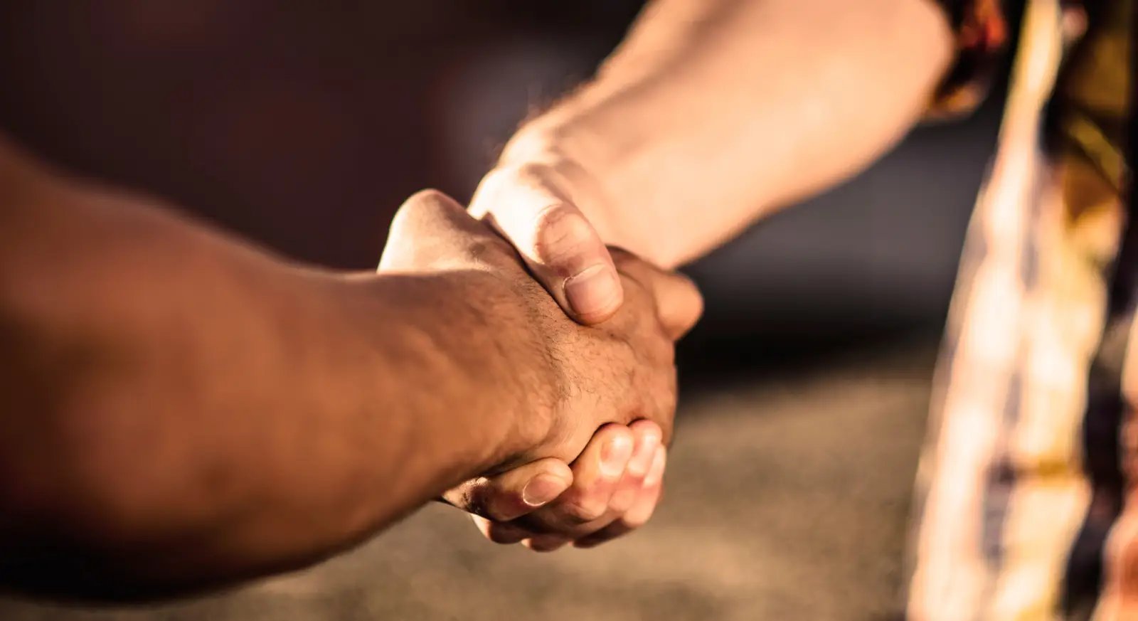 close up of a handshake in warm lighting