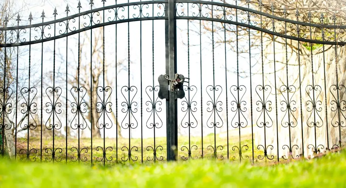 ornate wrought iron gate with decorative patterns
