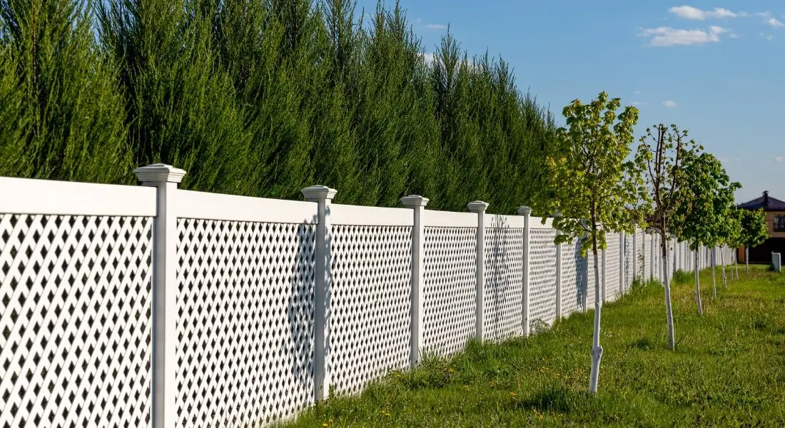 white vinyl lattice fence along yard with trees